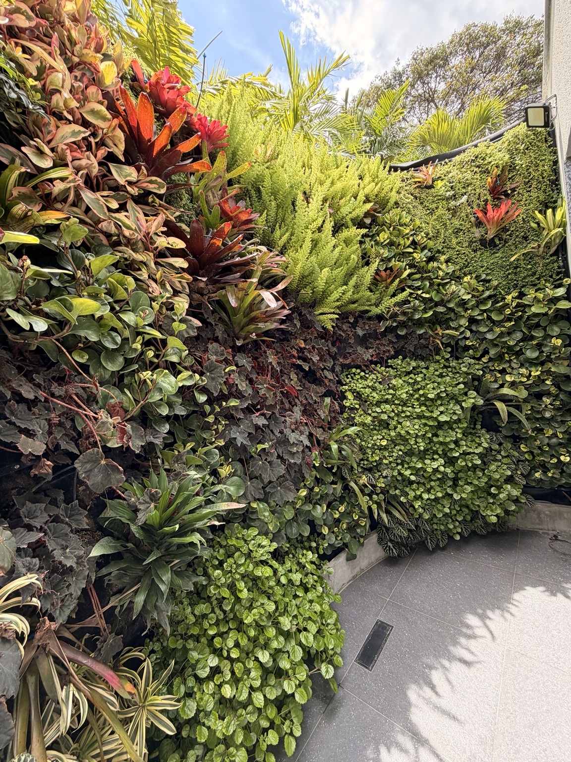 Jardín vertical en las instalaciones